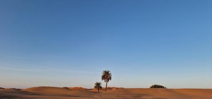 Kasbah Hotel Panorama مرزوكة المظهر الخارجي الصورة